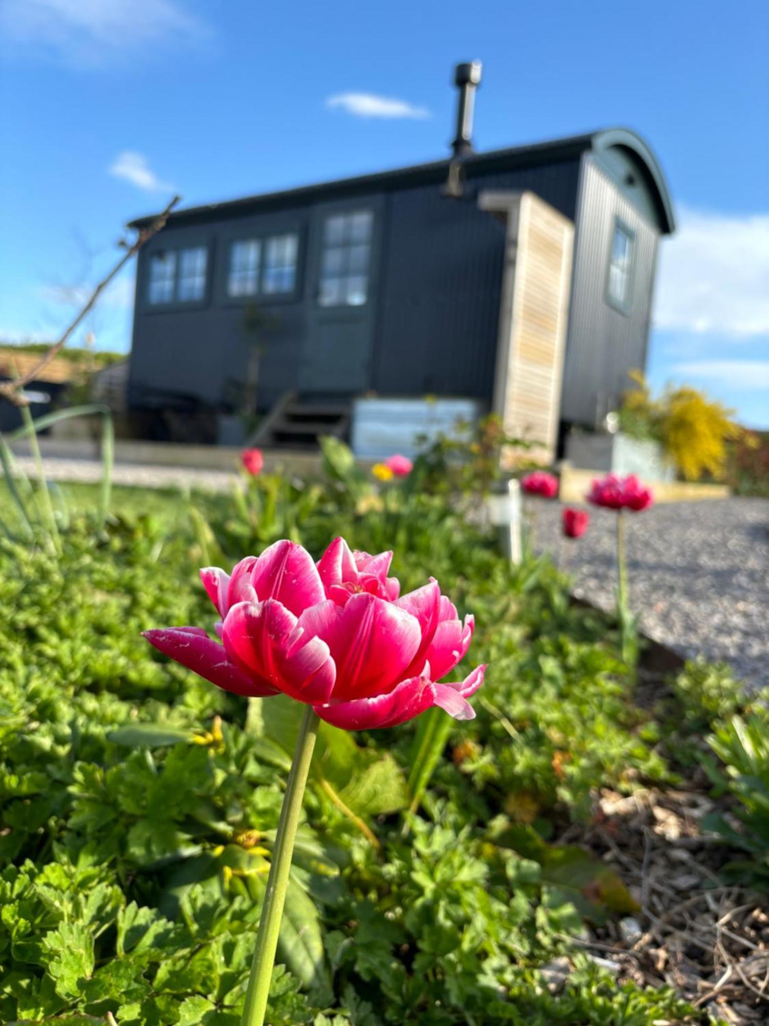 Вилла The Winford Retreat Экстерьер фото